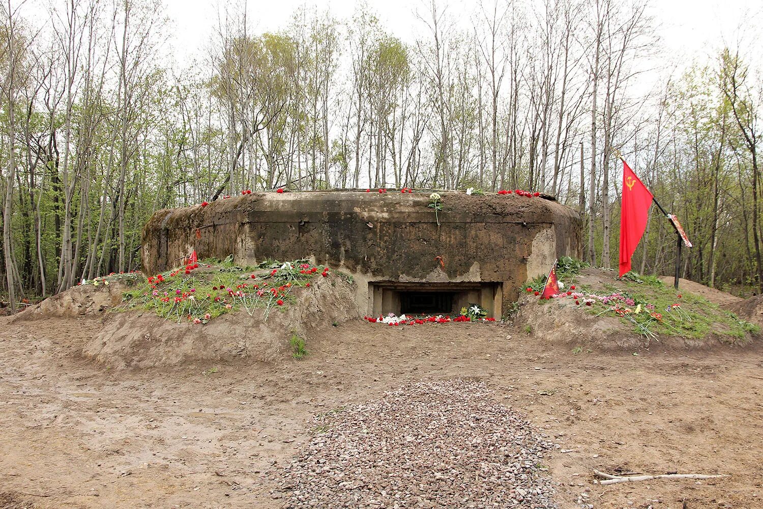 Treasure of the cannon's fuse. Сундуки дота плюс. Сокровищница лавки конфет дота 2. Дот открытие. Дот 204 рубежа ижора.