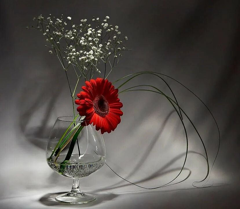 Открытка печаль. Красивые цветы в бокале. Одинокий цветок в вазе. Цветы в бокале картинки. Грустное поздравление с днем рождения.
