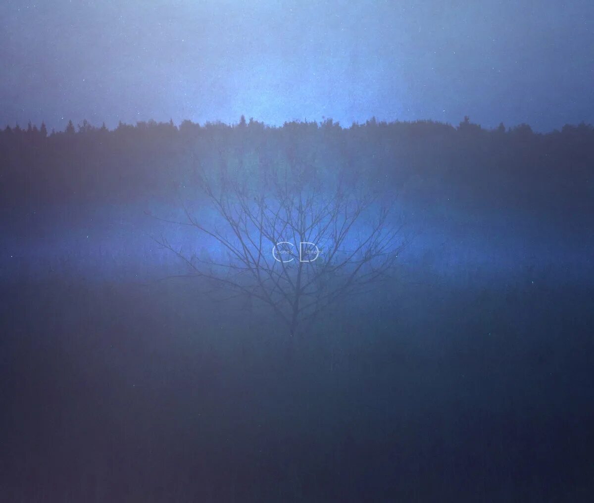 туманный синий. синий вечер. лес в тумане голубой. туманный синий. серо голубой туман.