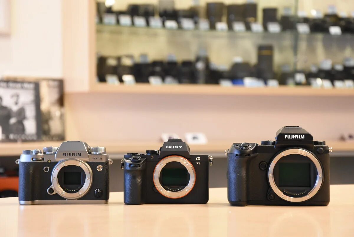 Fujifilm или sony. Fuji gfx 50s. фуджифильм 50s 2. fujifilm gfx 50s ii. fujifilm gfx 50s vs canon 1dx.