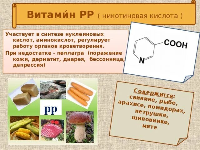 Значение витамина pp