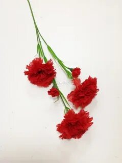 Красная гвоздика 3
