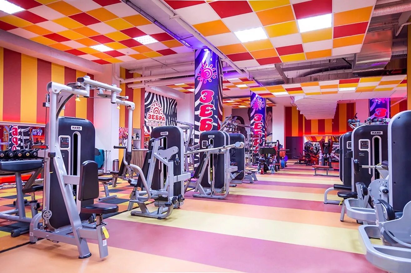 Сайт фитнеса зебра. Фитнес клуб зебра москва. Сайт фитнеса зебра. Зебра фитнес калужская. Сайт фитнеса зебра.