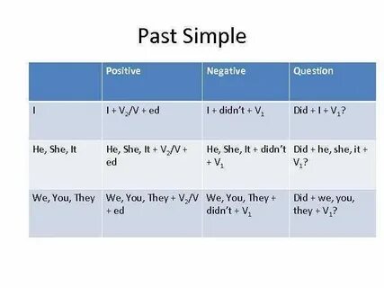 Present simple positive negative questions