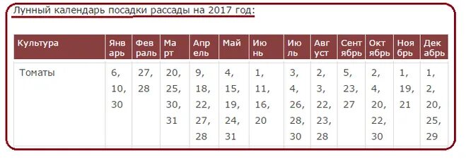 Сеять помидоры на рассаду в феврале 2024. Когда сажать помидоры на рассаду в 2017 году.