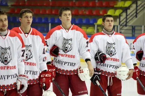 Прогресс глазов