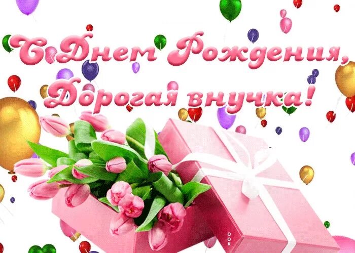 Я стала бабушкой 12 августа 2013 - Генеалогический форум