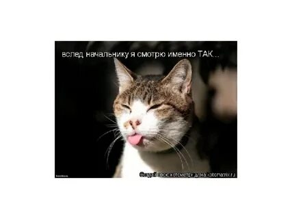 Я говорил что будет именно так