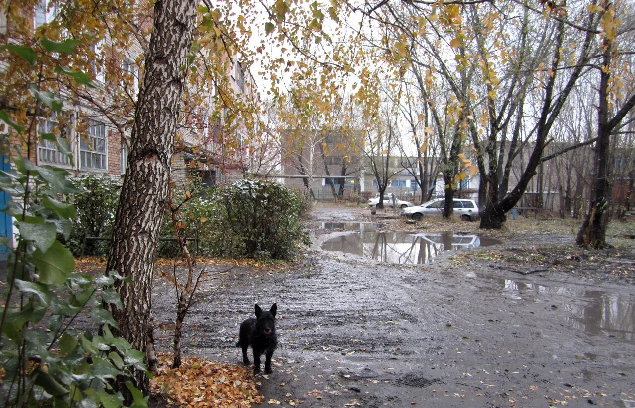 Дождь и слякоть в городе. Пасмурная осень в городе. поздняя осень слякоть. ноябрь в городе.