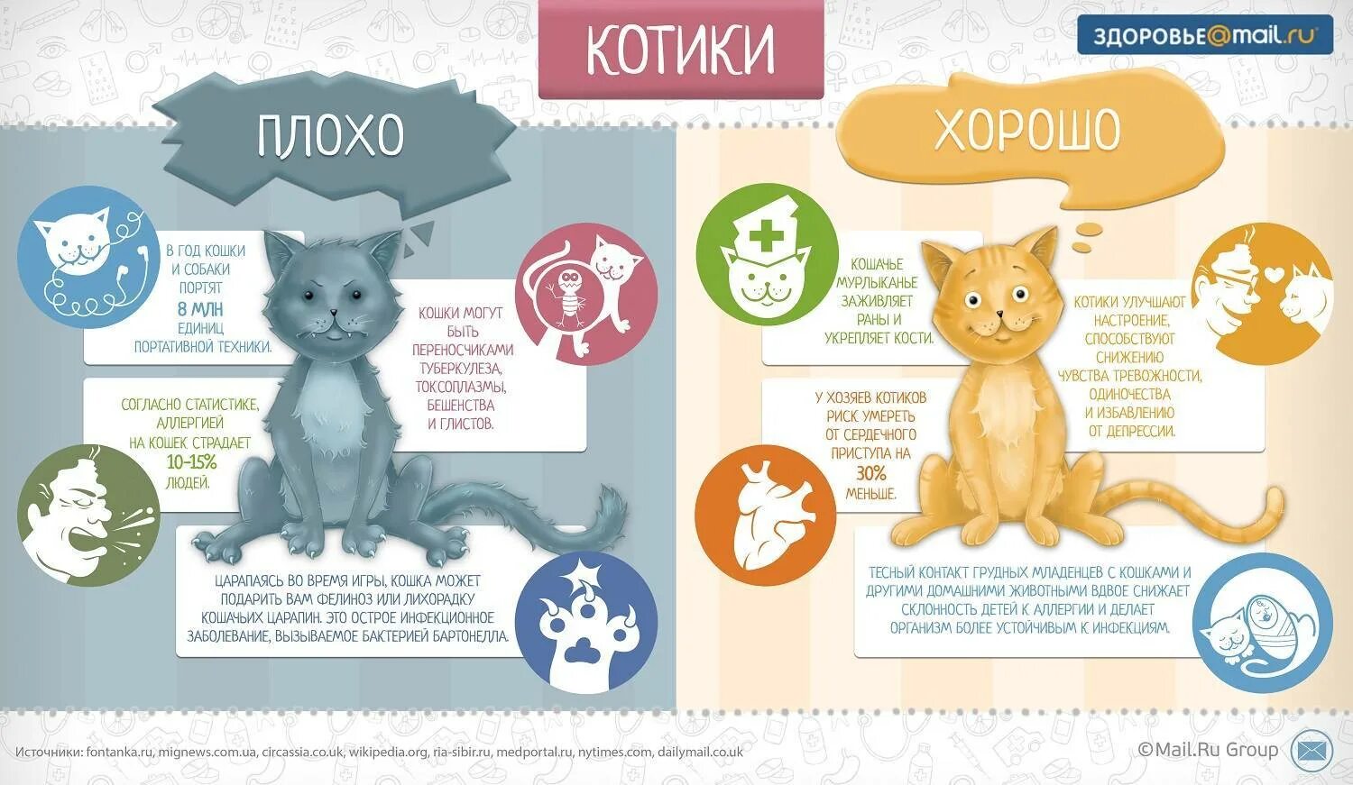 Получить кота. Инфографика кошки. плюсы и минусы кошек. инфографика про животных. инфографика о котах.
