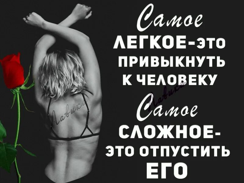 Привыкай я так решил читать. Привыкать картинка. привыкаю к тебе картинки. привыкнуть к человеку. я так привыкла к тебе.
