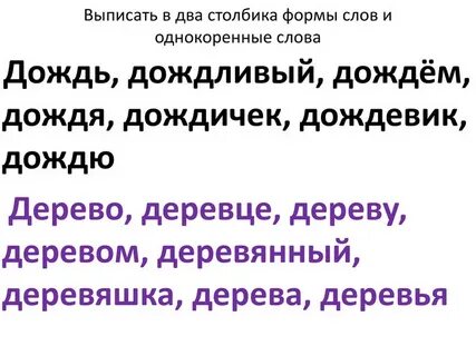 Дождевой однокоренное