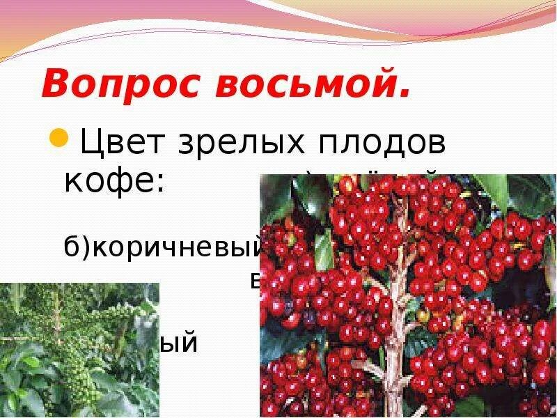 Неспелый гранат. Хорош да пригож только на бабу очень похож. Почему армянский ботаник инс говорил что плод это зрелый цветок. Шишки плоды и семена. Строение плода граната.