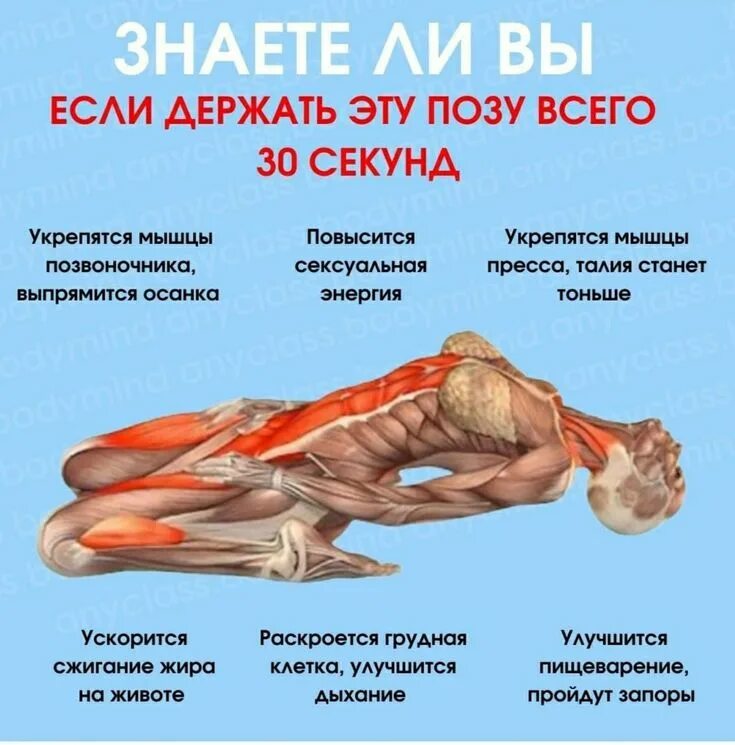 Жесты уверенного человека. Йога мем. Поза собака мордой вверх в йоге. Поза верблюда мышцы. Держи эту позу.