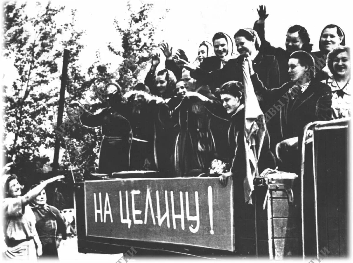 Плакат освоим голубую целину. Освоение целины хрущев. Целина или целена. Целина вики. Целина или целена.