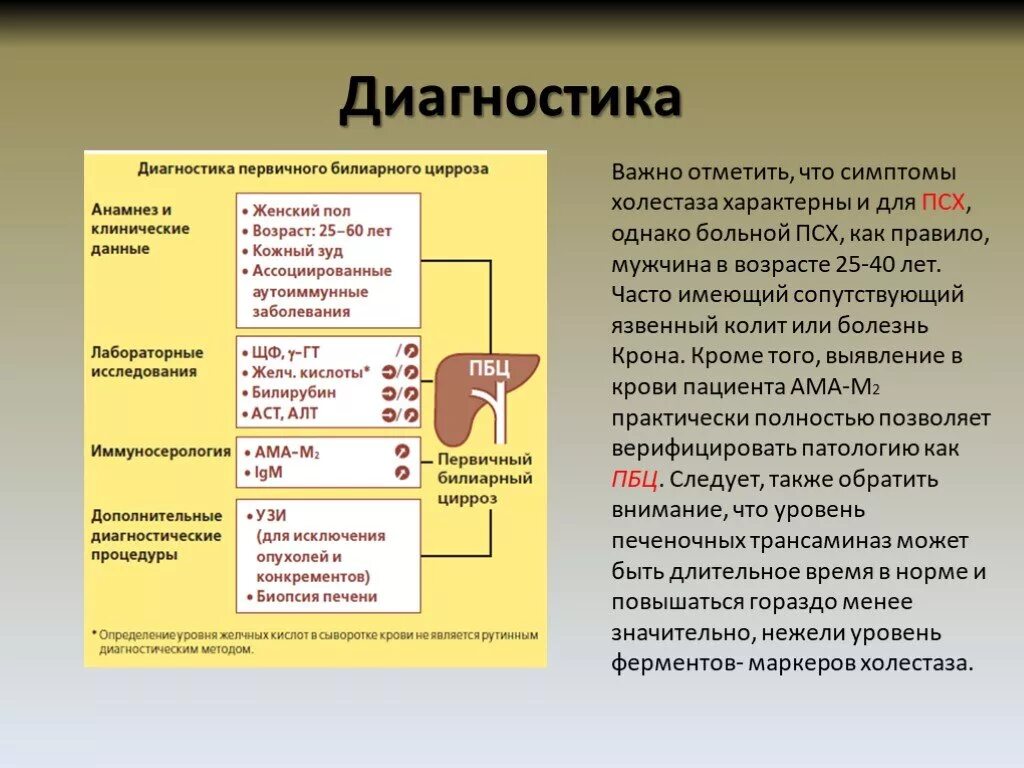 Анализ больной печени. Первичный билиарный цирроз. Диагностика первичного билиарного цирроза. Симптомы первичного билиарного цирроза печени. Первичный билиарный цирроз печени дифференциальная диагностика.