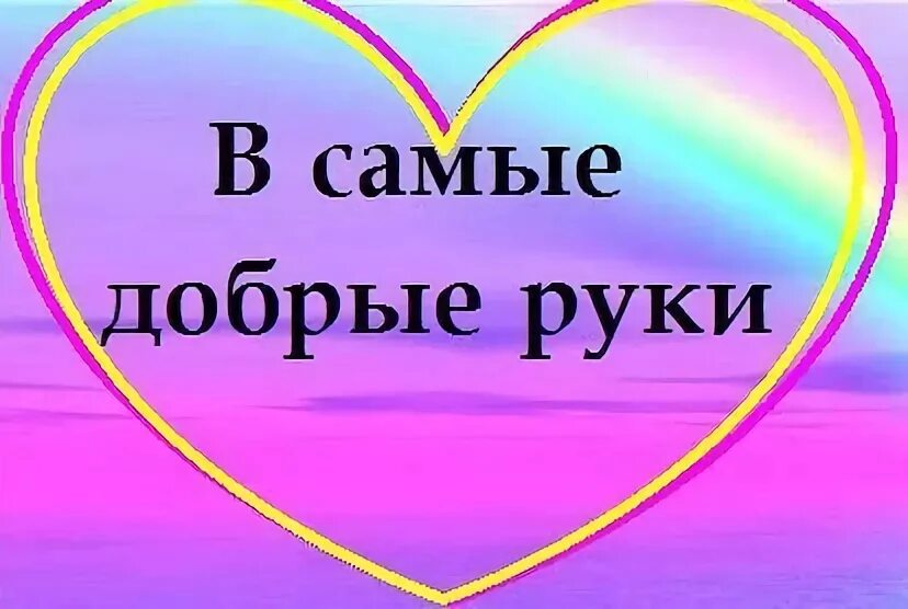 Очень очень очень очень добрые руки. В самые добрые руки. ищем добрые сердца. ищу добрые ручки картинки. ищем добрых хозяев.