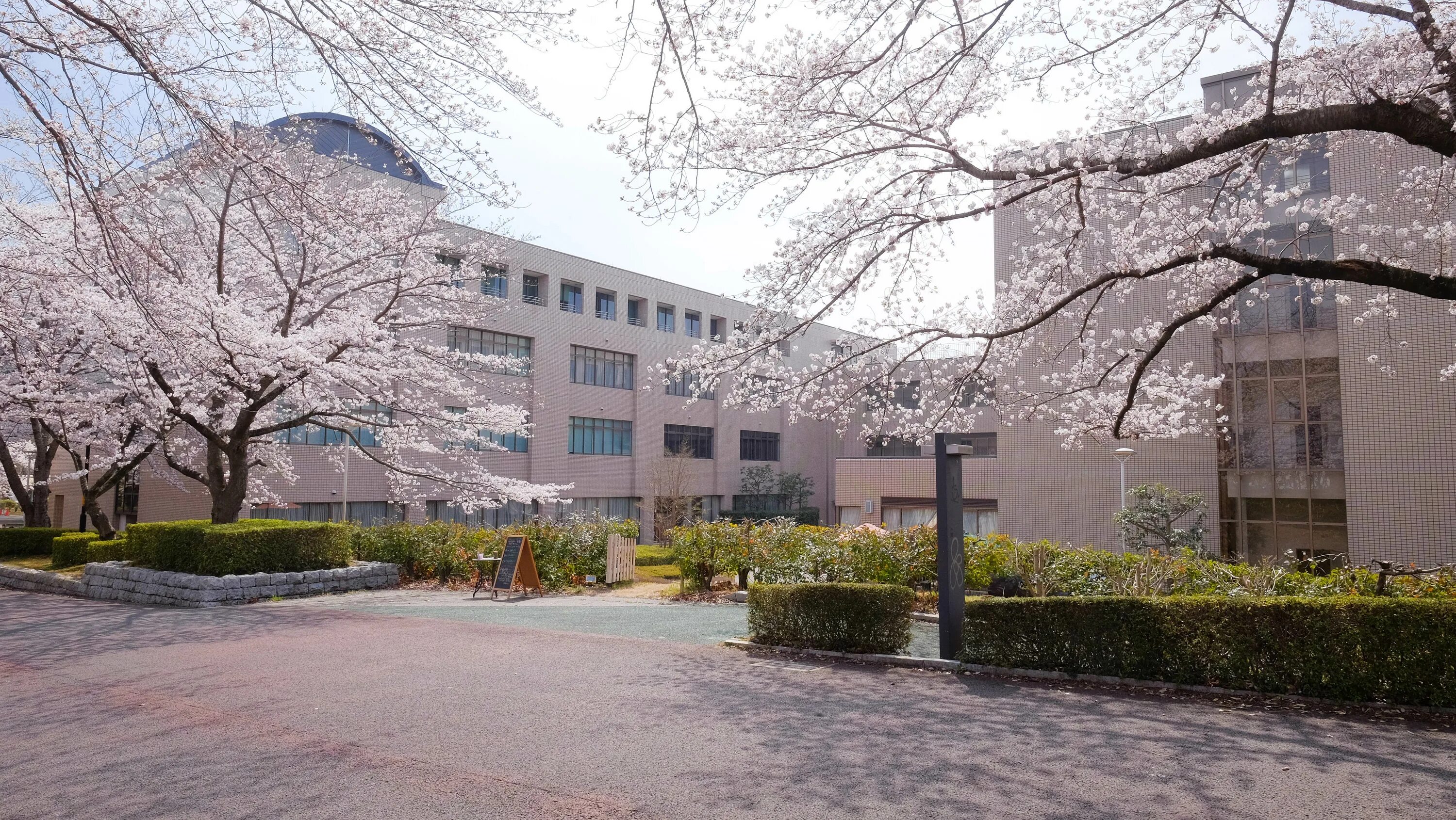 Цукуба. Цукуба Япония. Университет Цукуба Япония. Цукуба Технопарк. Технопарк Цукуба в Японии.