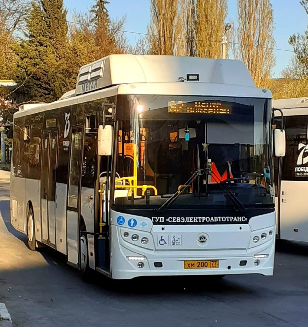 Севастополь гуп севэлектроавтотранс. А. Гуп севэлектроавтотранс им а с круподерова. Гуп севэлектроавтотранс севастополь 3024. Гуп севэлектроавтотранс логотип.