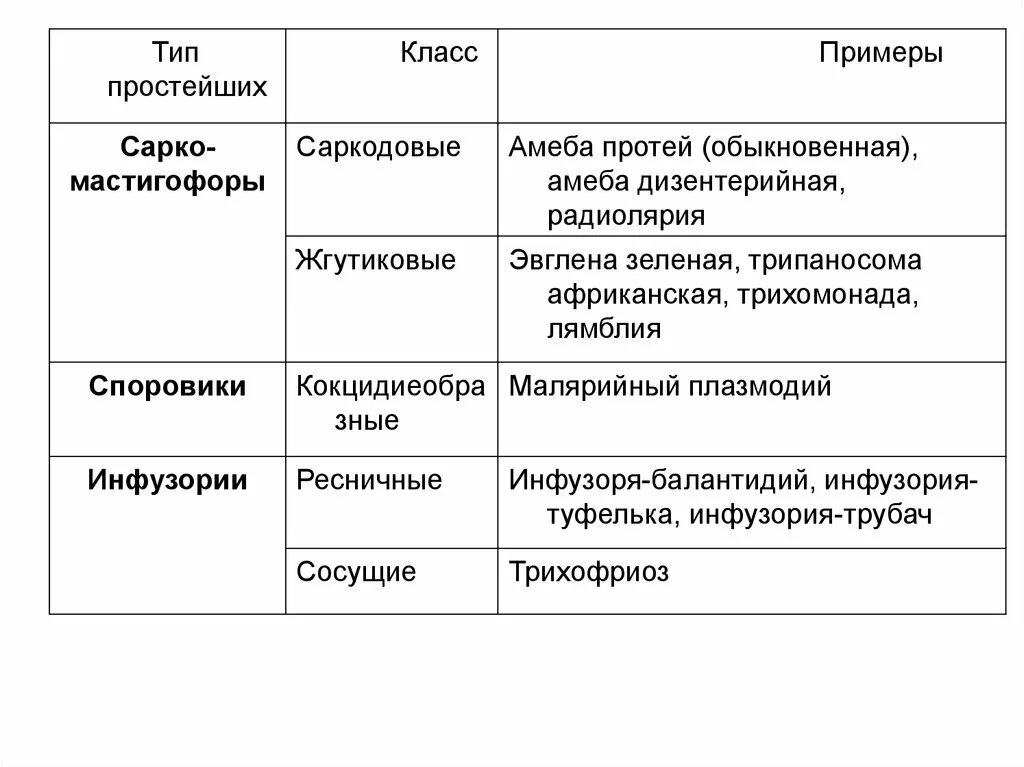 Характеристика типа простейшие. Характеристика представителей простейших. Виды типа Саркодовые. Тип простейшие классы и виды. Основные группы простейших