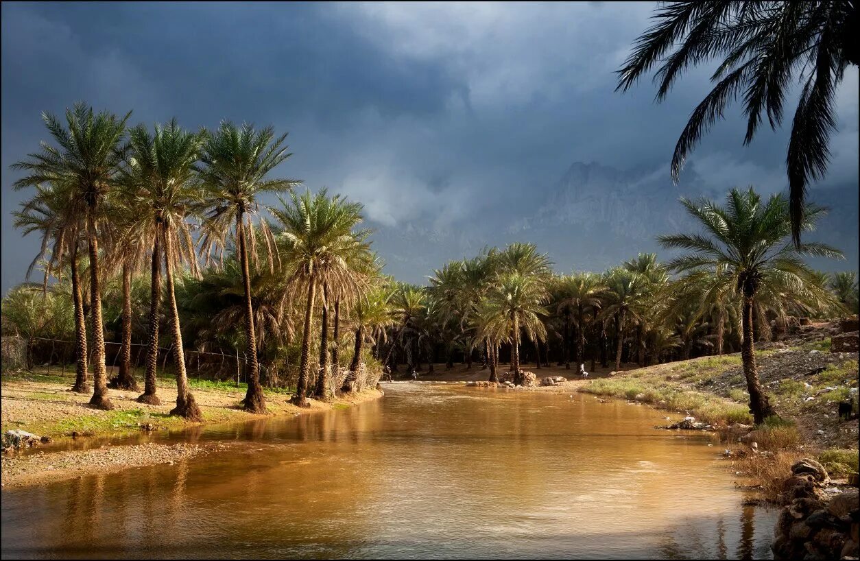 йемен месторождения. полезные ископаемые йемена. йемен нефтяные месторождения. вади даван город. йемен природные ресурсы.