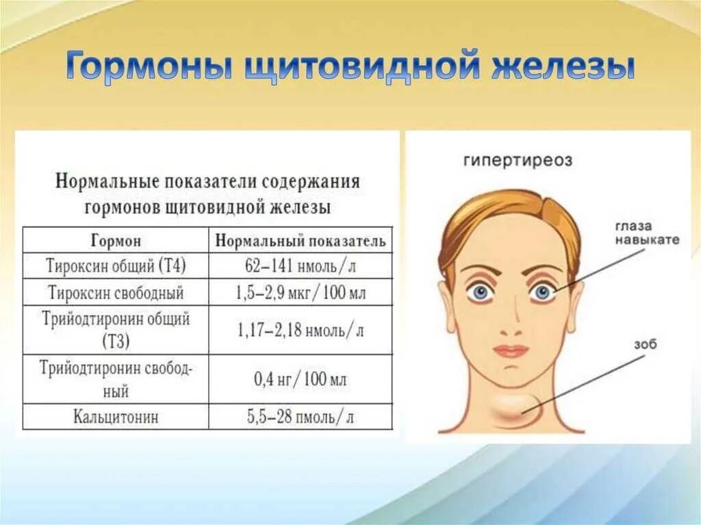 Сдамся какое лицо. Название гормонов щитовидной железы. Основные функции йодсодержащих гормонов щитовидной железы.. Функции тиреоидных гормонов щитовидной железы. Гормоны пщитовиднойжелезы.