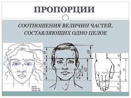 Уроки пропорции