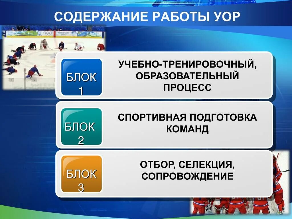 Уровень спортивной подготовки. Уровни подготовки в спорте. Подготовка спортивного резерва. Виды групп подготовки в спорте.