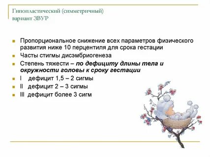 Звур форум