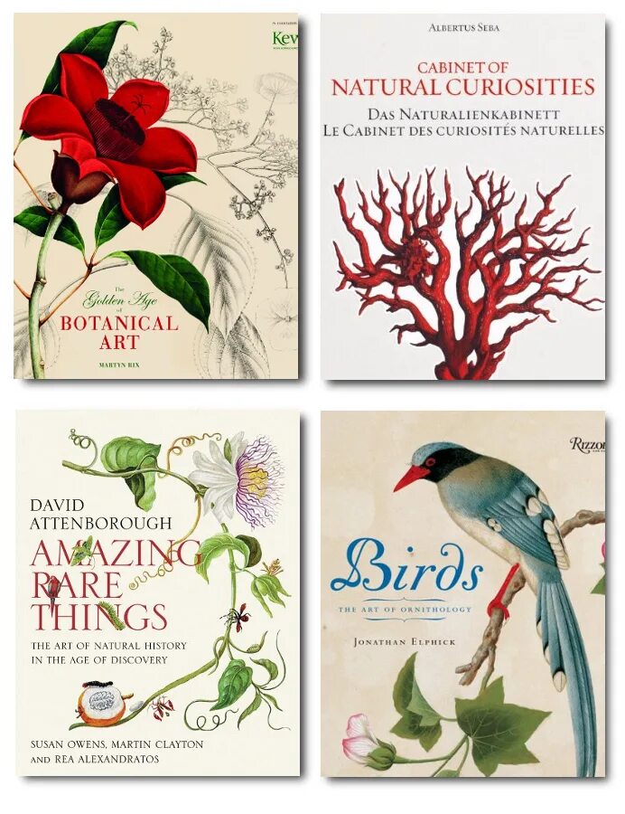 Rare things. Amazing rare things: the Art of natural History книга. Natural ornitology Botanic book. Birds : the Art of Ornithology Hardcover – January 1, 2004.