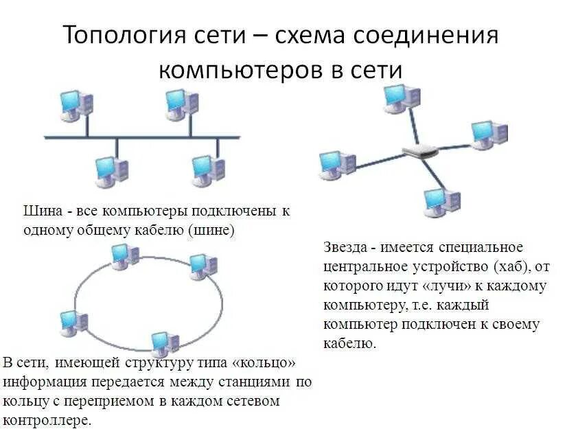 Логические схемы соединения компьютеров в вычислительные сети. Схема соединения компьютеров в сети шина. 1. Что такое топология сети?. Схема локальной сети общая шина. Основы организации сети