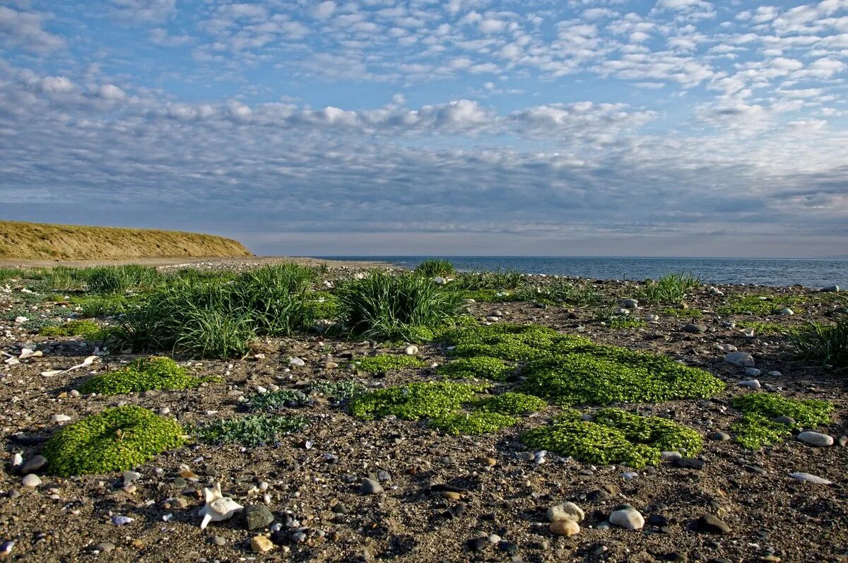 кольский полуостров териберка. баренцево море териберка. побережье моря лаптевых. сопки, тундра кольский полуостров. таймыр и карское море.