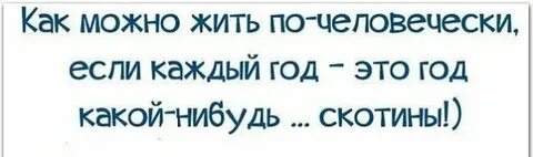 Каждый год дает