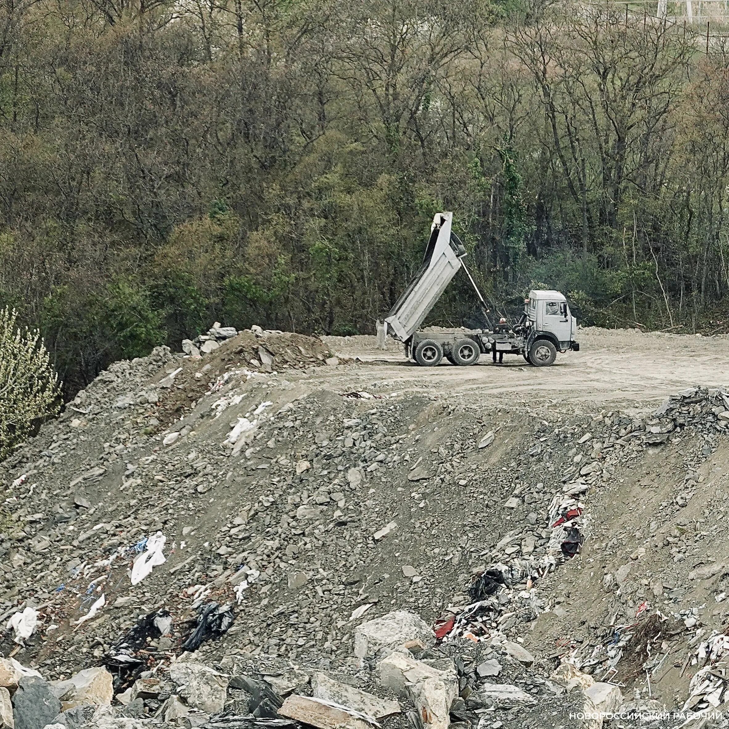 В лесу новороссийска