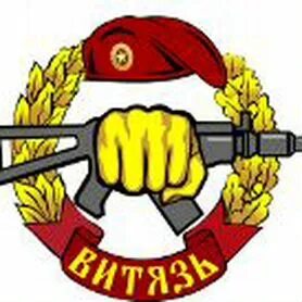 Охрана витязь москва