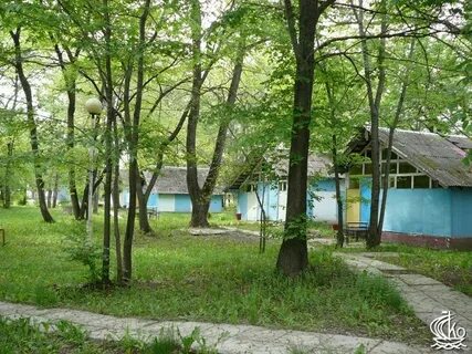 Ветерок основа