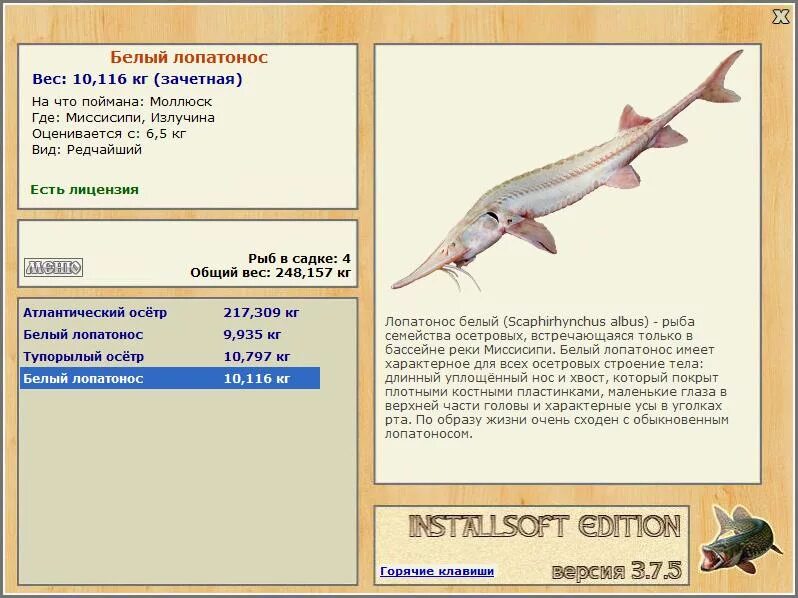 Лопатонос на что ловить Shovelnose Sturgeon