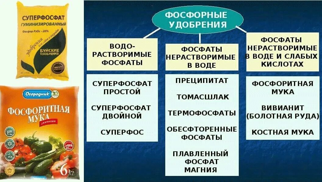 В каких растениях содержится фосфор. Фосфорные удобрения. фосфорные удобрения это удобрения это. типы фосфорных удобрений. водорастворимые фосфорные удобрения.
