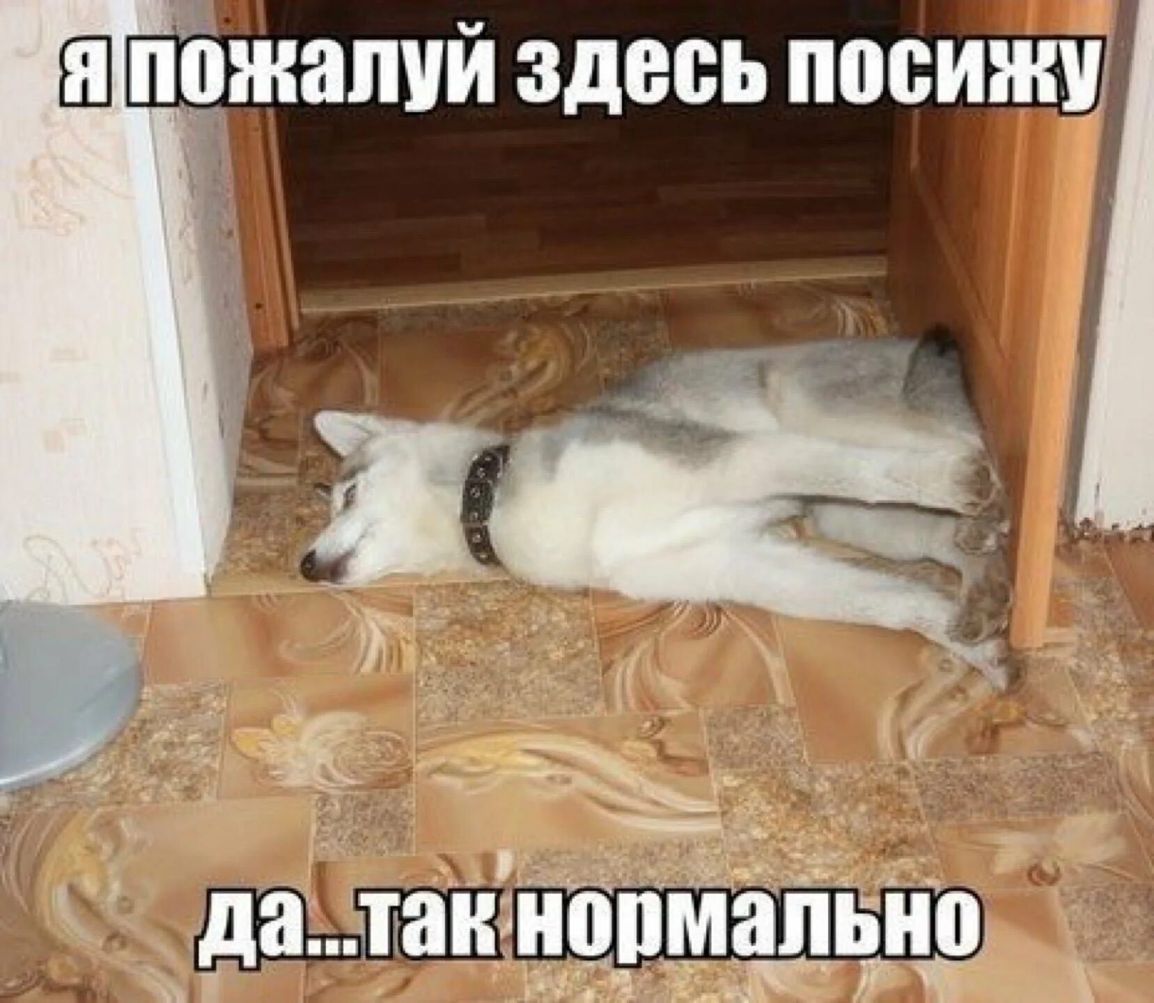 Про посидит