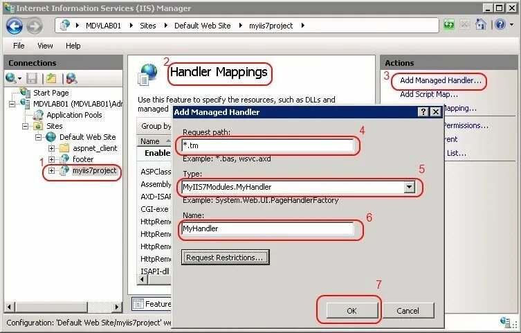 Handler support. Handler mappings iis. iis7. professional iis 7. module handle.