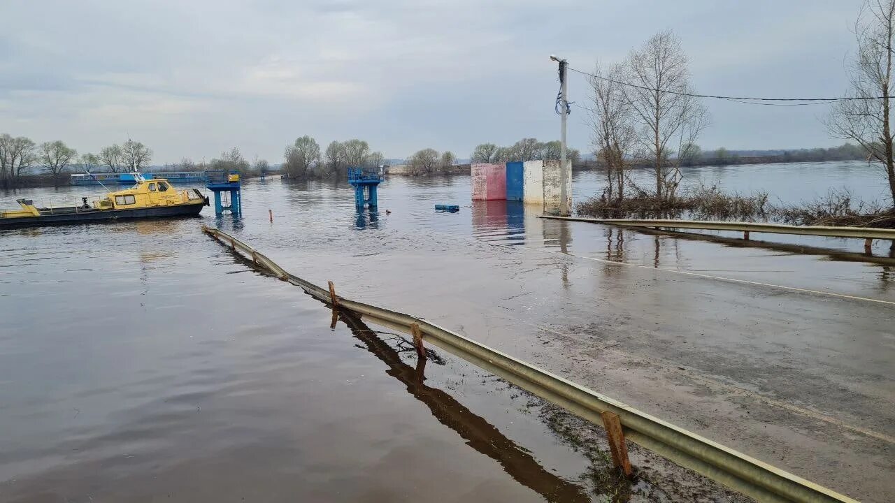 Уровень оки в белоомуте сегодня