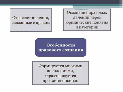 Социально правовое явление это