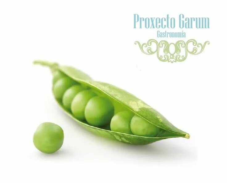 Peas перевод на русский. Горох транскрипция на английском. Peas перевод с английского на русский. Зеленый горошек на английском языке. Pea витамины.
