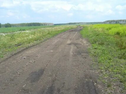 Погода в ишалино
