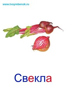 Найдите название овоща