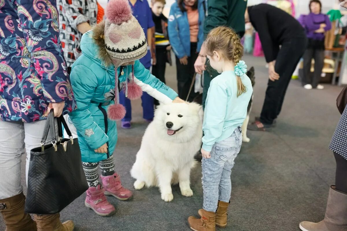 Выставка животных в салавате. Выставка животных сегодня. Выставка животных сегодня. Выставка животных сегодня. Выставка животных сегодня.