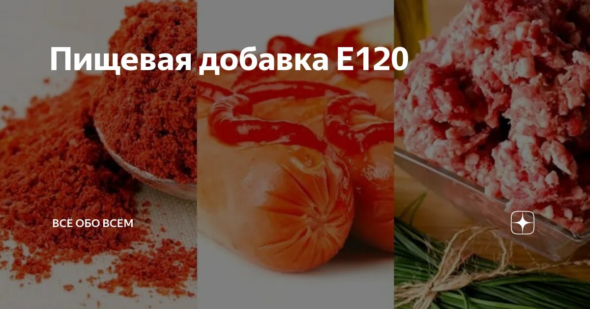 Е120 пищевая добавка из чего состоит. Что такое экстракт кошенили е 120. что такое краситель кармин е120. e120 пищевая добавка. е120 куркумин.