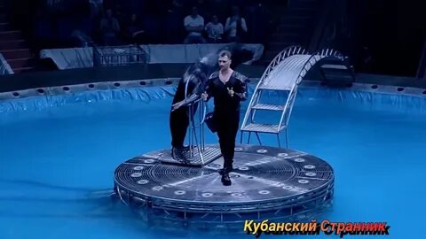 Цирк на воде абакан 2024