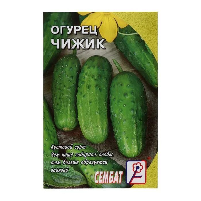 Огурцы сорт чижик. Огурец чижик. чижик корнишоны. семена огурец чижик 10 шт. огурец чижик f1, семена гавриш.