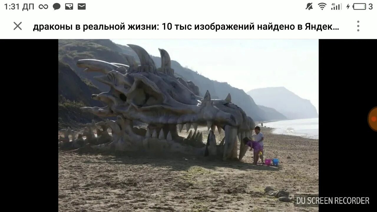 Дракоэен в реальной жизни. Драко в реаальной жизни. Дракон в реальности. Драконы в реальной жизни. Существуют ли драконы.